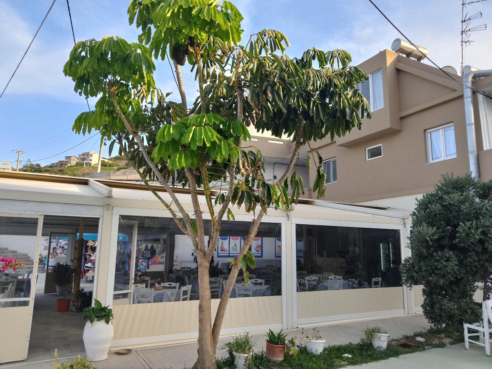 Anatoli Lygaria Apartments On The Beach Ligaria  Exteriör bild
